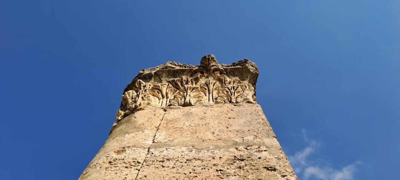 Cardostudio Hotel Jarash Exterior foto